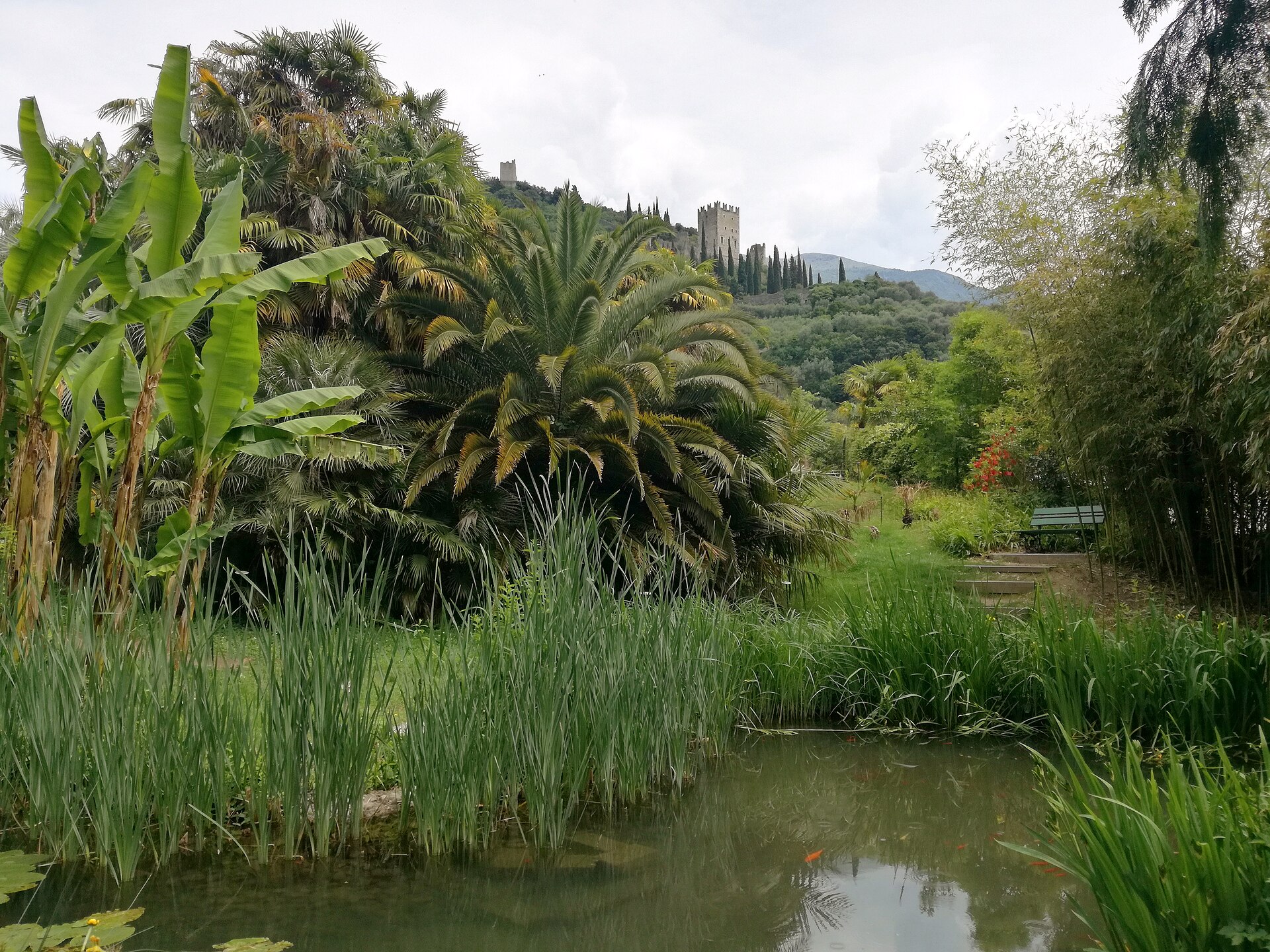 Stagno, piante subtropicali e Castello di Arco nell’Arboreto