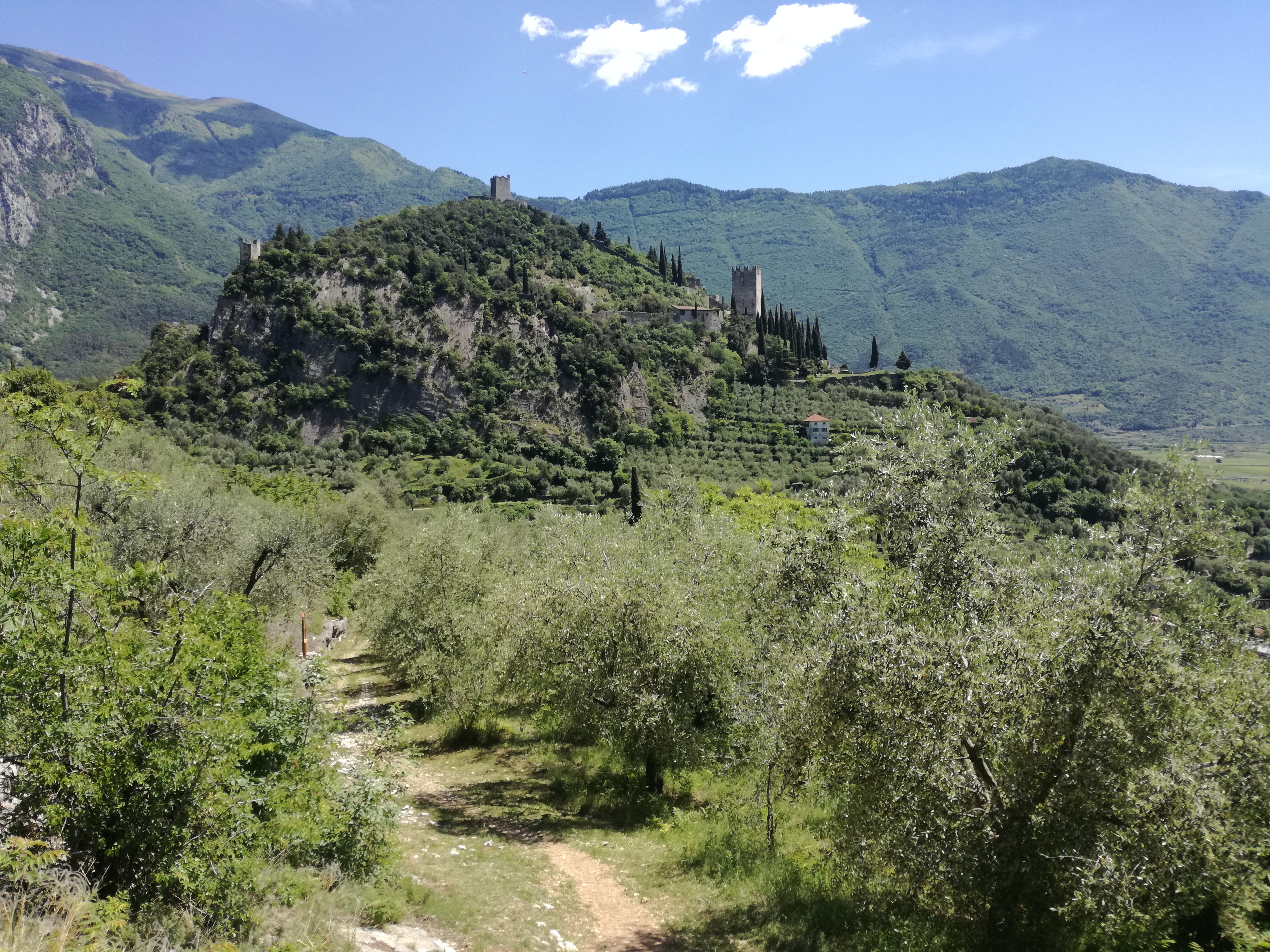 Uliveti e Castello di Arco nel paesaggio montano circostante
