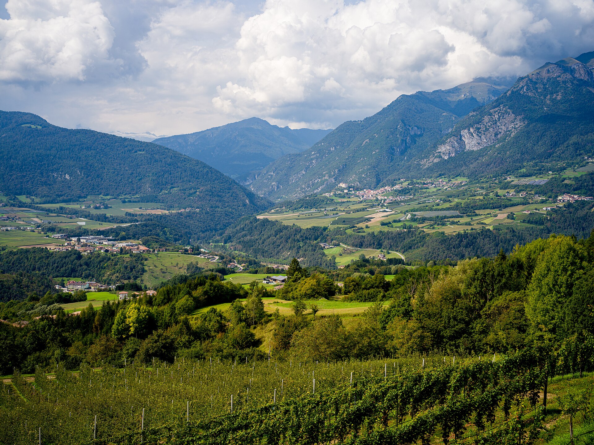 Paesaggio verde di Comano e Stenico sotto le montagne in estate