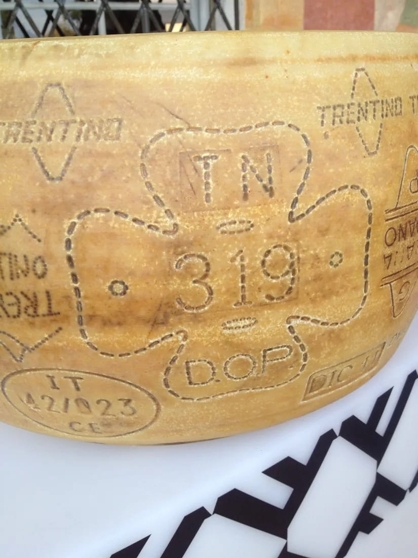 Formaggio Trentingrana, uno dei prodotti locali da provare in Trentino